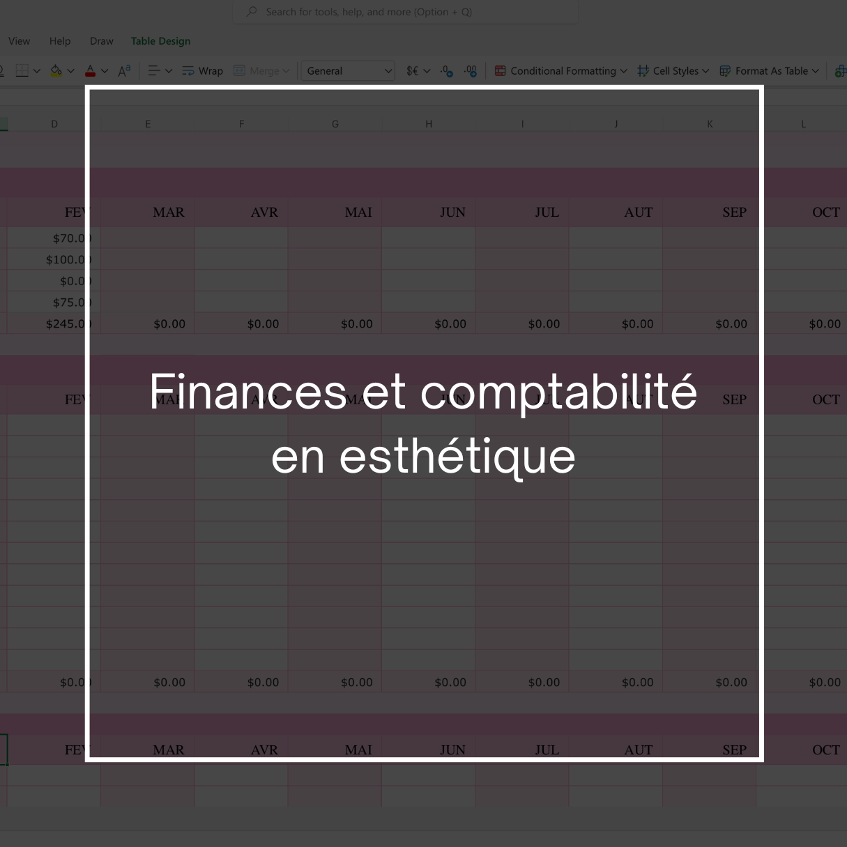 Formation Finances et Comptabilité en Esthétique 